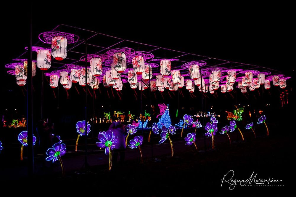 Greatest Asian Lantern Festival / Большой Азиатский фестиваль фонарей 