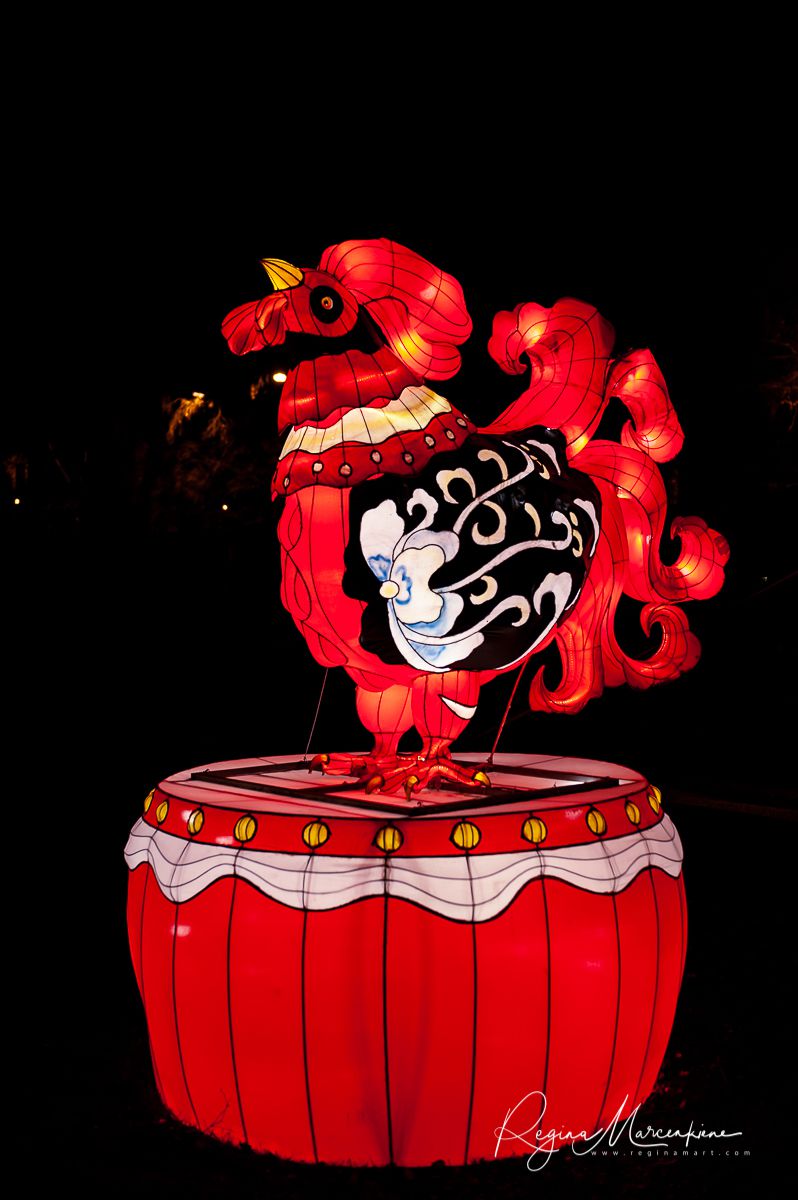 Greatest Asian Lantern Festival / Большой Азиатский фестиваль фонарей 