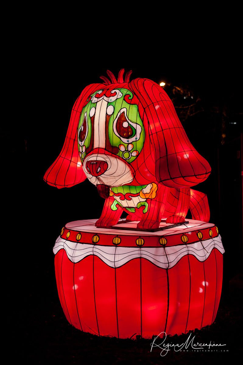 Greatest Asian Lantern Festival / Большой Азиатский фестиваль фонарей 