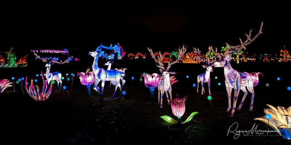 Greatest Asian Lantern Festival / Большой Азиатский фестиваль фонарей 