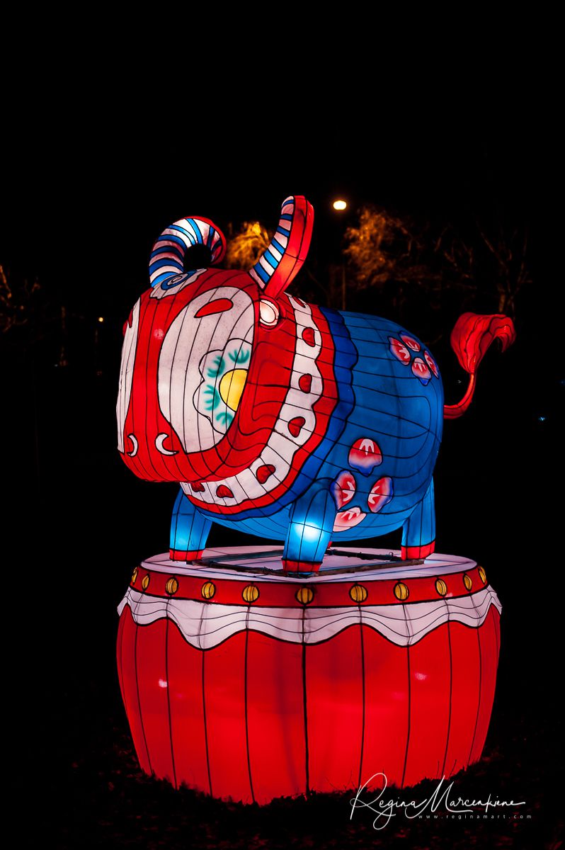 Greatest Asian Lantern Festival / Большой Азиатский фестиваль фонарей 