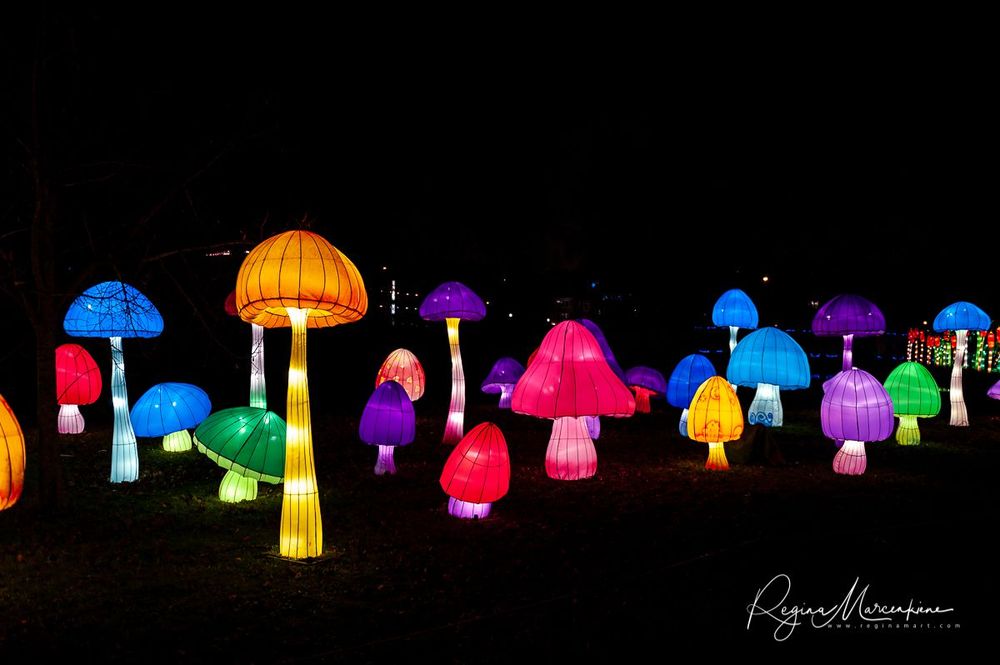 Greatest Asian Lantern Festival / Большой Азиатский фестиваль фонарей 