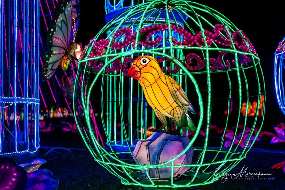 Greatest Asian Lantern Festival / Большой Азиатский фестиваль фонарей 
