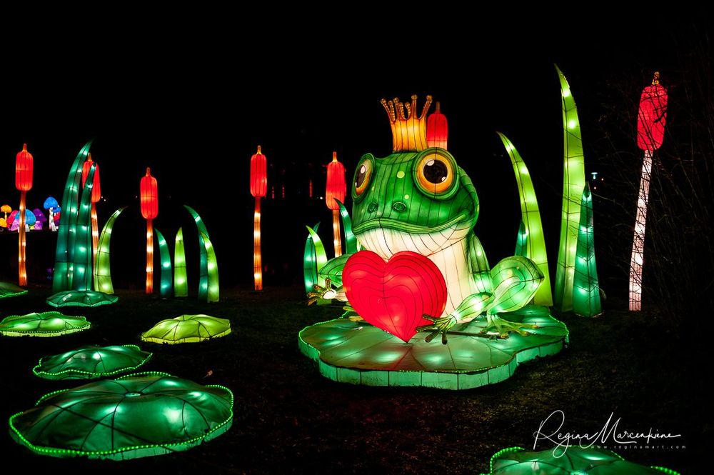 Greatest Asian Lantern Festival / Большой Азиатский фестиваль фонарей 