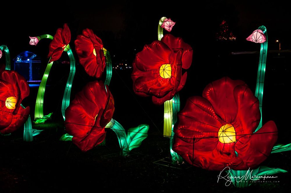 Greatest Asian Lantern Festival / Большой Азиатский фестиваль фонарей 