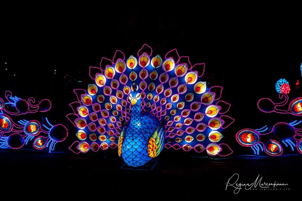 Greatest Asian Lantern Festival / Большой Азиатский фестиваль фонарей 