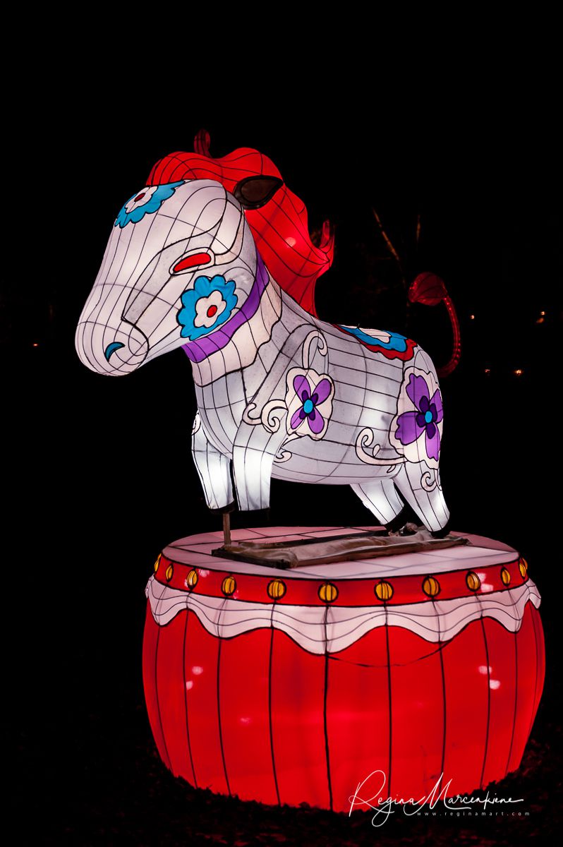 Greatest Asian Lantern Festival / Большой Азиатский фестиваль фонарей 