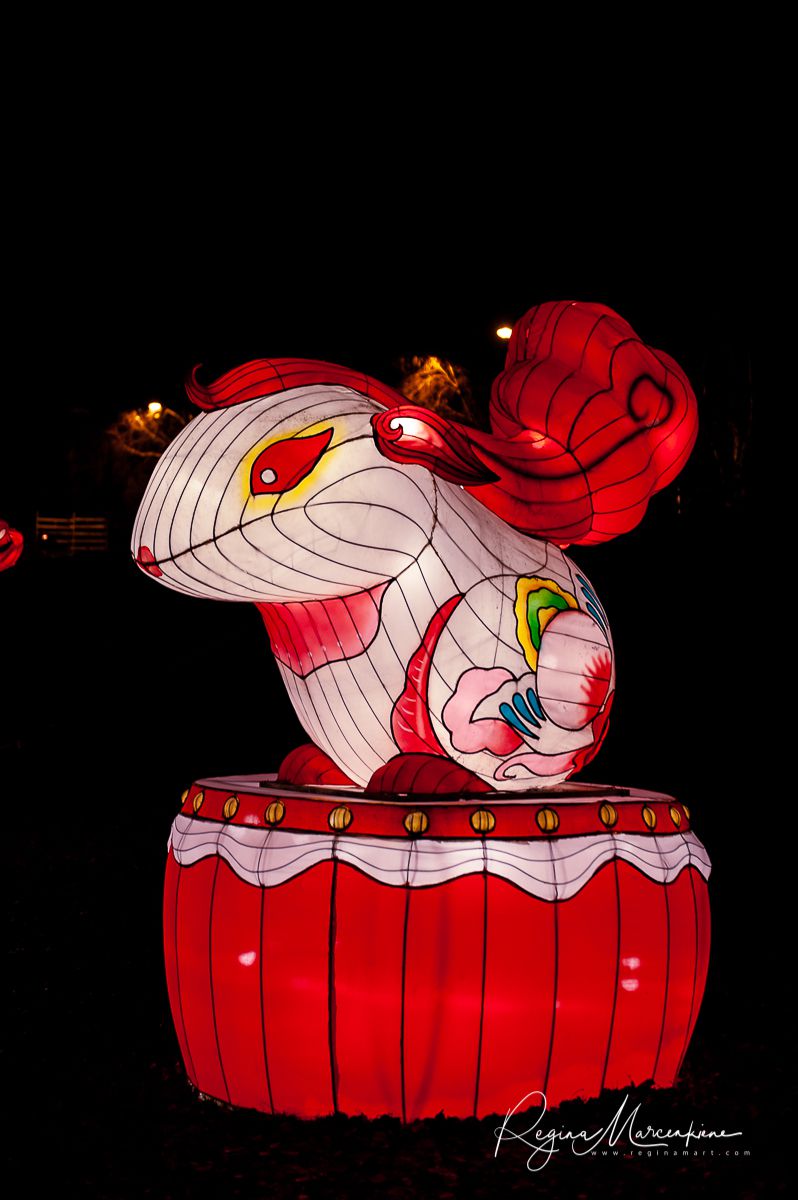 Greatest Asian Lantern Festival / Большой Азиатский фестиваль фонарей 