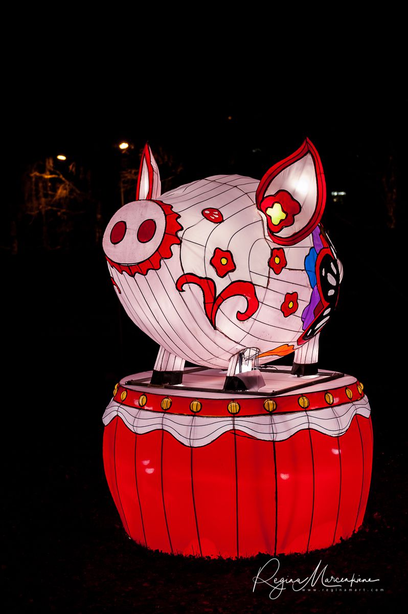 Greatest Asian Lantern Festival / Большой Азиатский фестиваль фонарей 