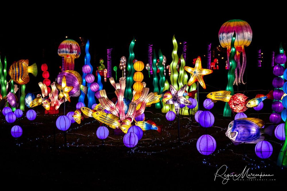 Greatest Asian Lantern Festival / Большой Азиатский фестиваль фонарей 