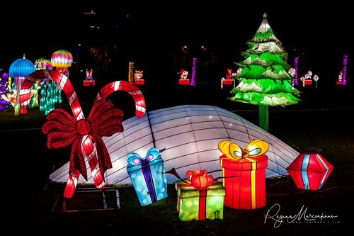 Greatest Asian Lantern Festival / Большой Азиатский фестиваль фонарей 