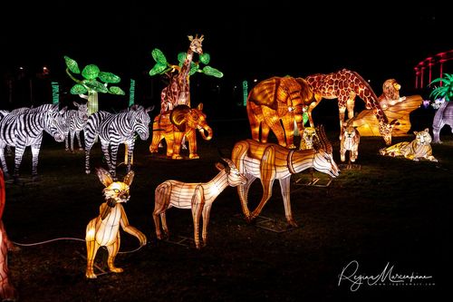 Greatest Asian Lantern Festival / Большой Азиатский фестиваль фонарей 