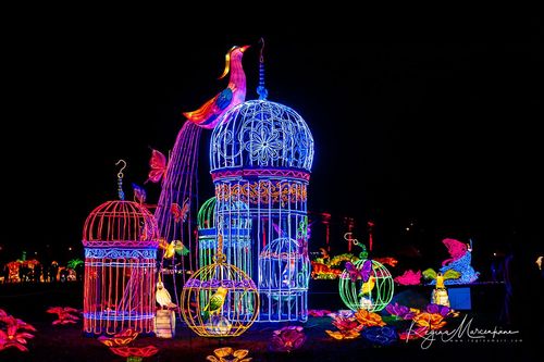 Greatest Asian Lantern Festival / Большой Азиатский фестиваль фонарей 