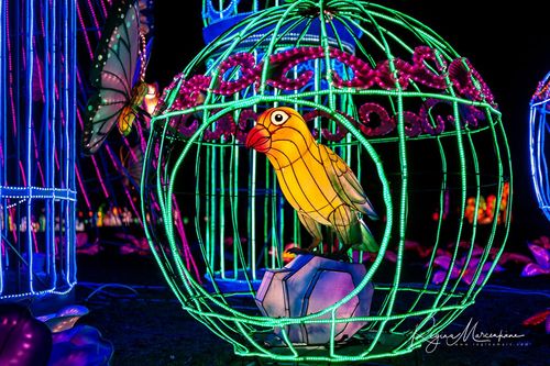 Greatest Asian Lantern Festival / Большой Азиатский фестиваль фонарей 