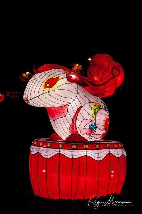 Greatest Asian Lantern Festival / Большой Азиатский фестиваль фонарей 