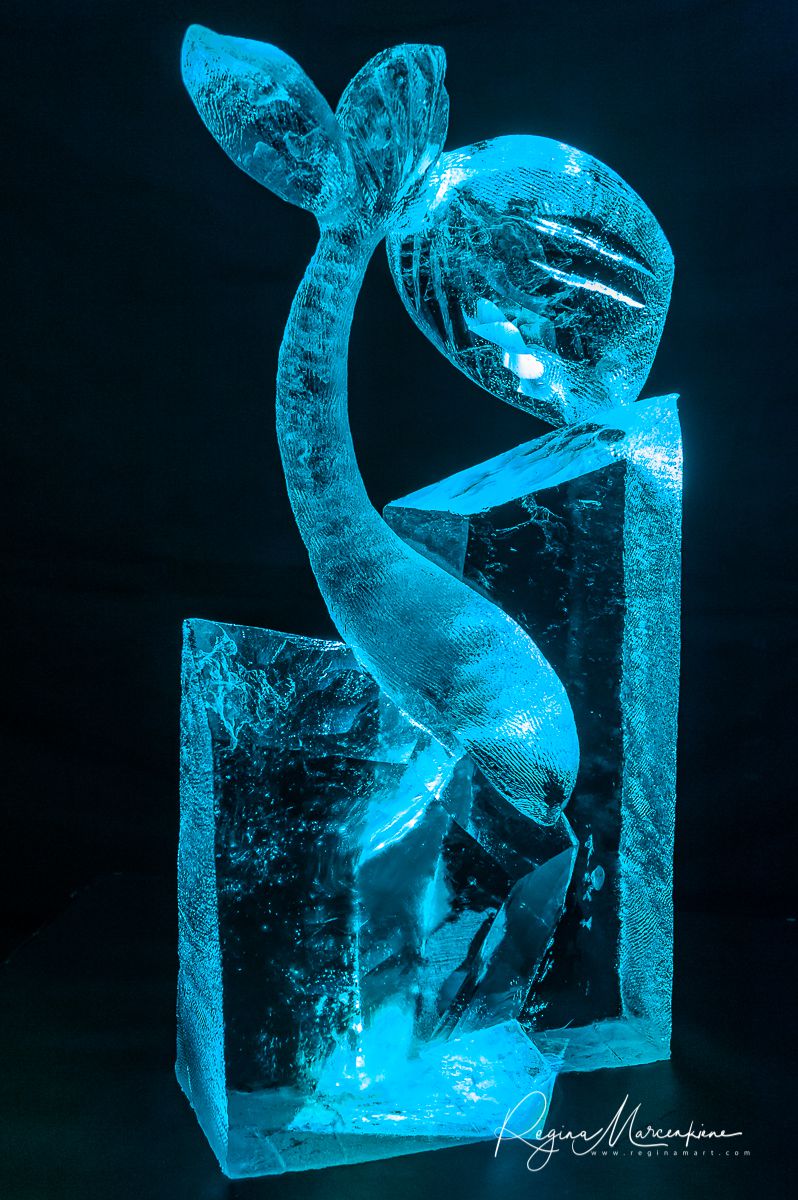 22nd International Ice Sculpture Festival in Jelgava / XXII Международный фестиваль ледовых скульптур в Елгаве22. фестиваля ледяных скульптур