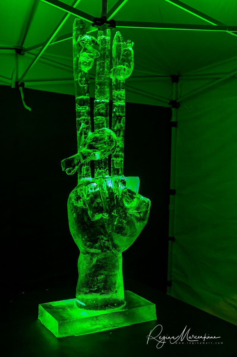 22nd International Ice Sculpture Festival in Jelgava / XXII Международный фестиваль ледовых скульптур в Елгаве22. фестиваля ледяных скульптур