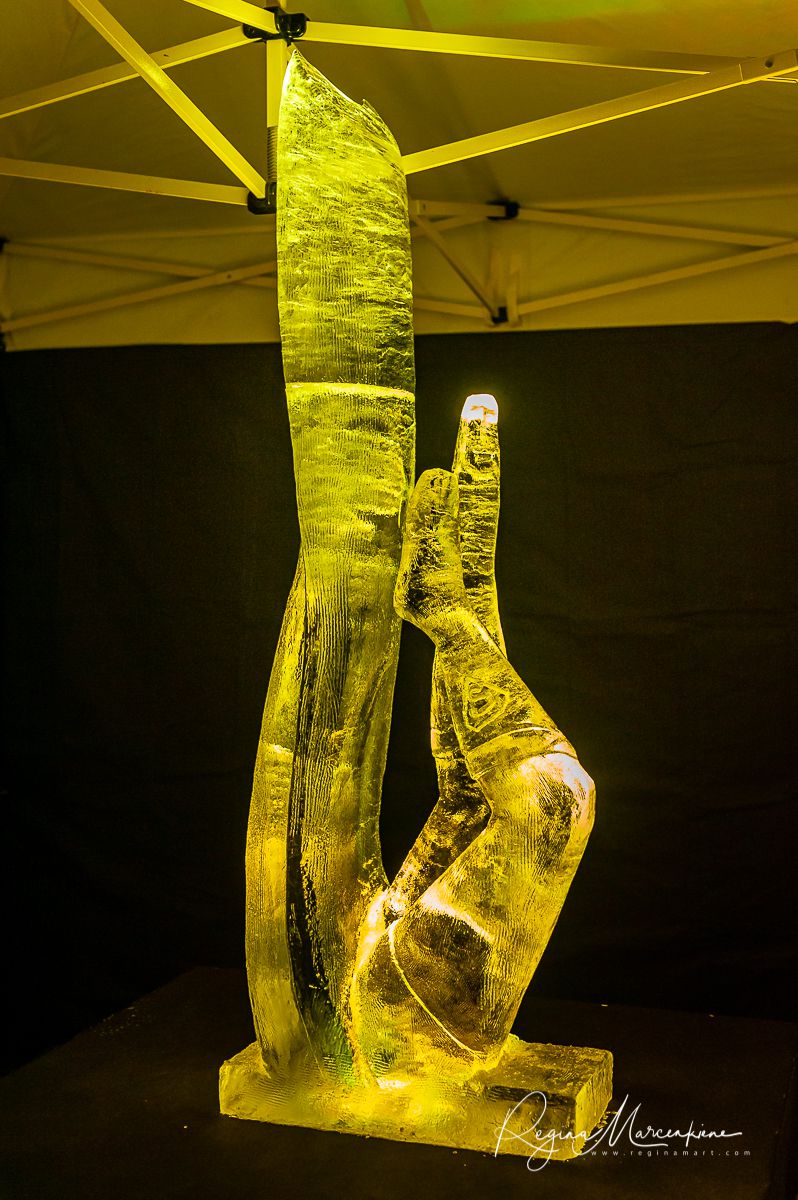 22nd International Ice Sculpture Festival in Jelgava / XXII Международный фестиваль ледовых скульптур в Елгаве22. фестиваля ледяных скульптур