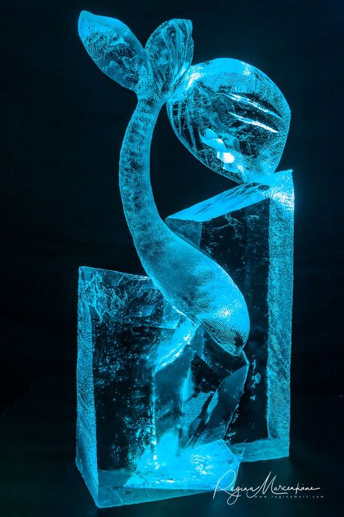 22nd International Ice Sculpture Festival in Jelgava / XXII Международный фестиваль ледовых скульптур в Елгаве22. фестиваля ледяных скульптур