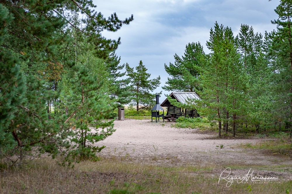 Найссаар (Naissaar)
