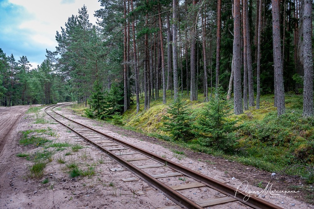 Найссаар (Naissaar)