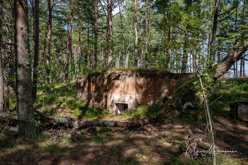 Найссаар (Naissaar)