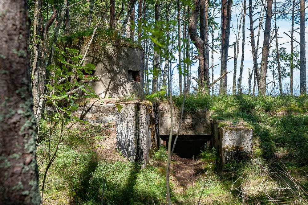 Найссаар (Naissaar)