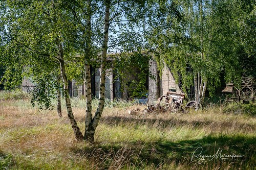 Найссаар (Naissaar)