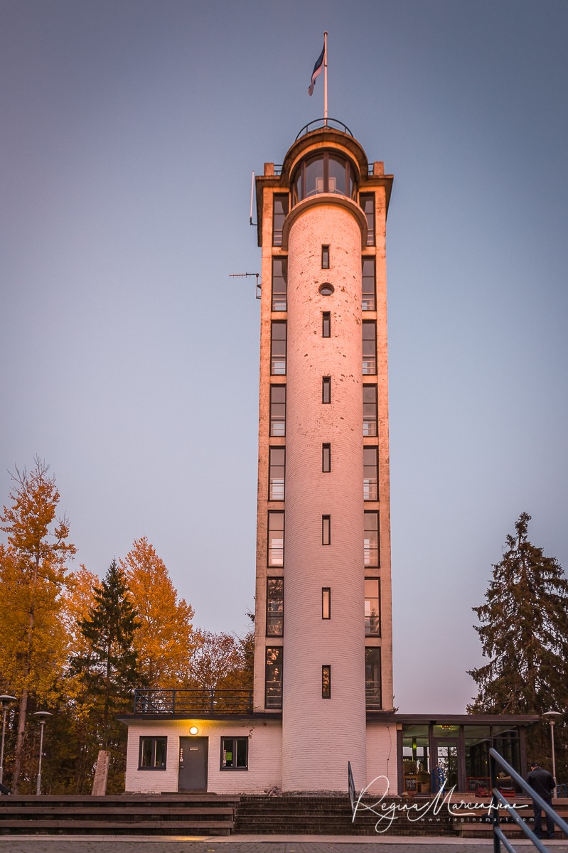 Suur Munamägi