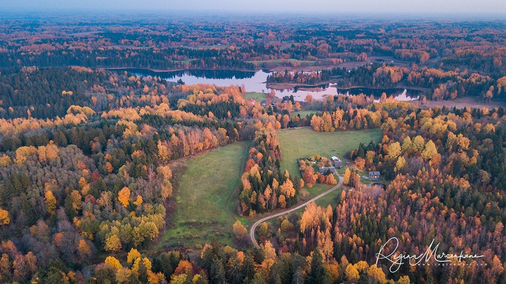 Suur Munamägi