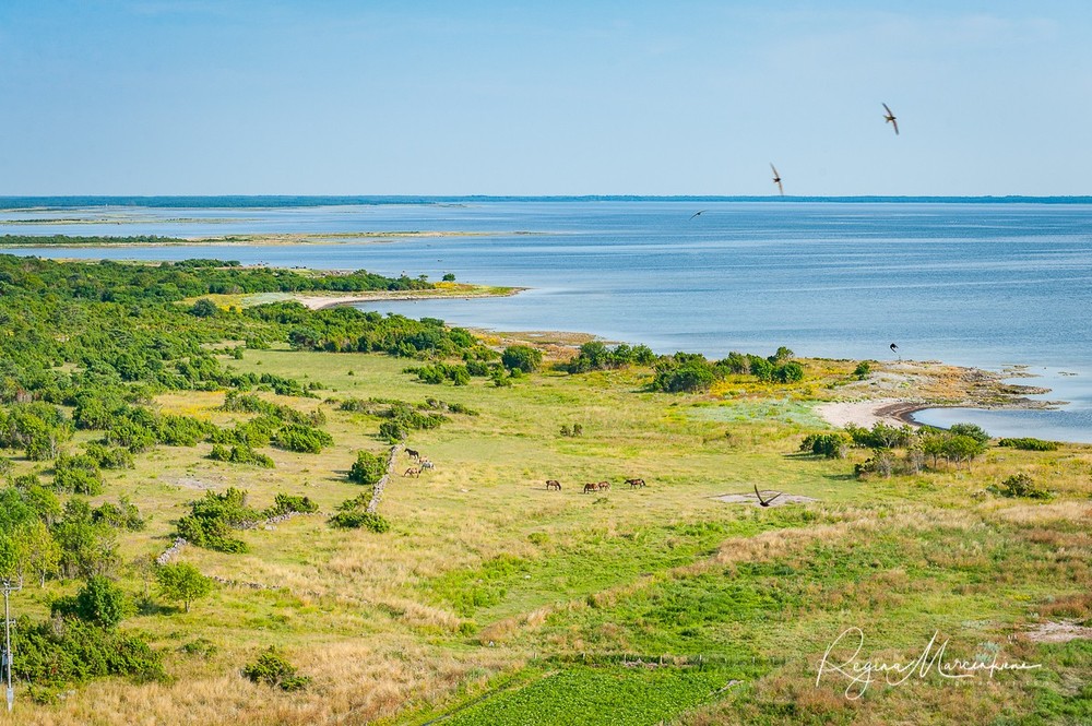 Vilsandi lighthouse 1809