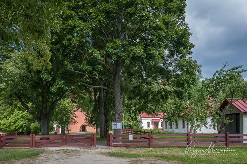 Slitere lighthouse 1849