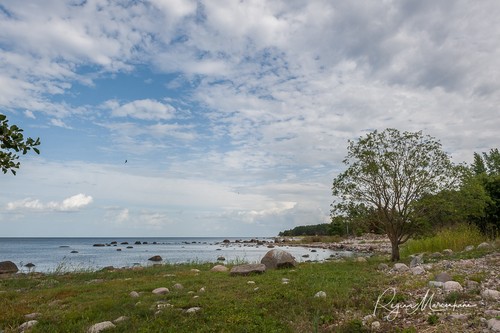 Letipea lighthouse 1951
