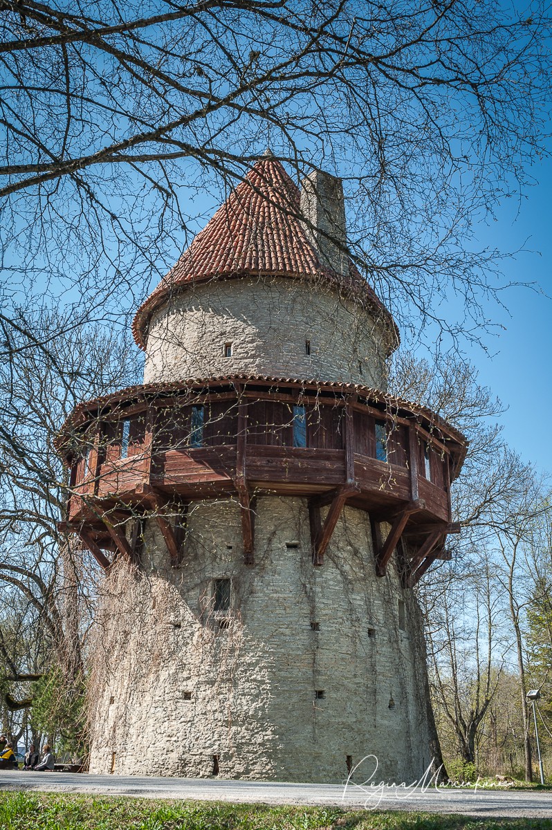 Kiiu torn
