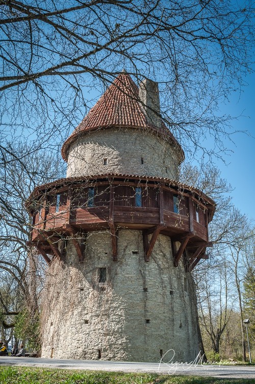 Kiiu torn