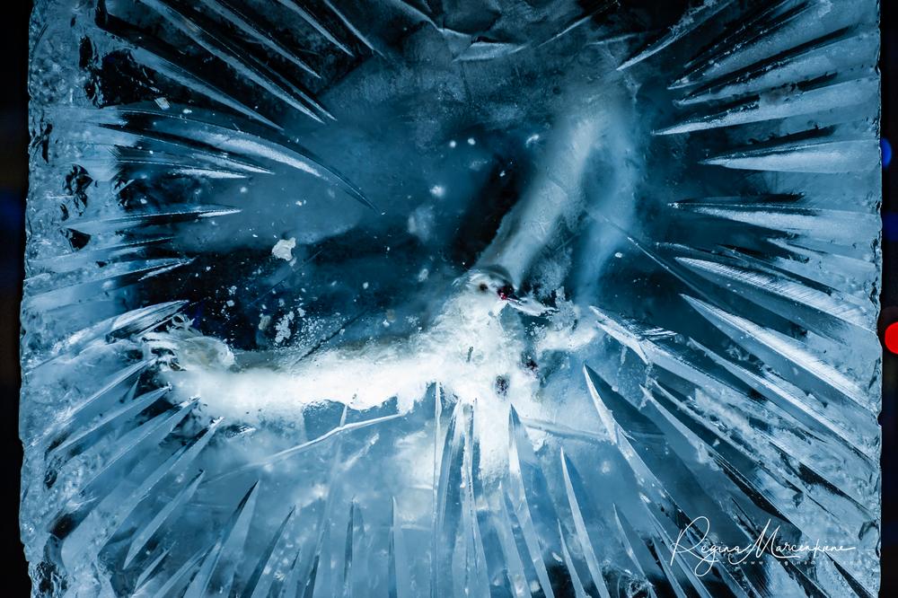 24 International Ice Sculpture Festival in Jelgava / 24 Международный фестиваль ледовых скульптур в Елгаве 