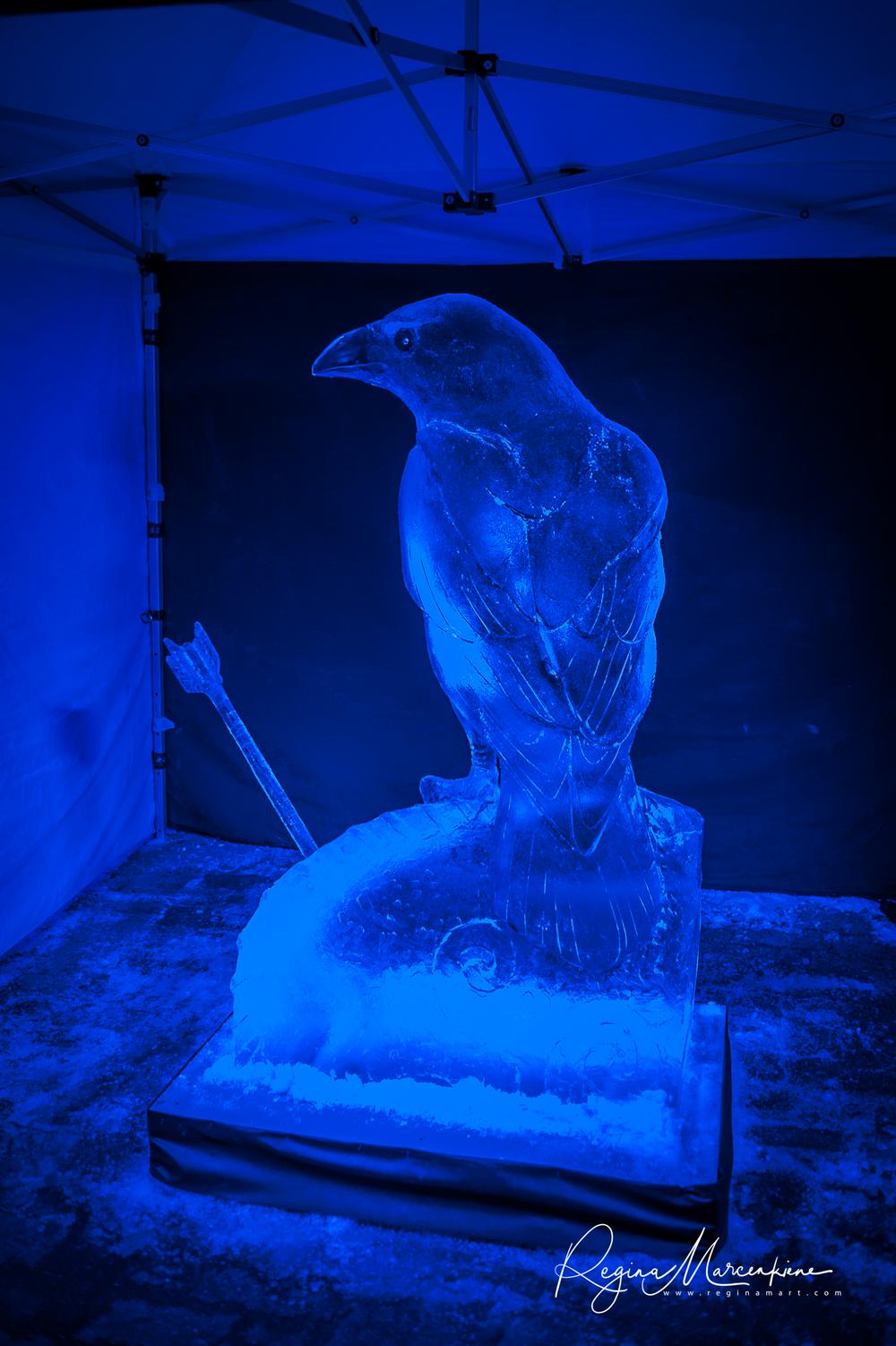  24 International Ice Sculpture Festival in Jelgava / 24 Международный фестиваль ледовых скульптур в Елгаве 