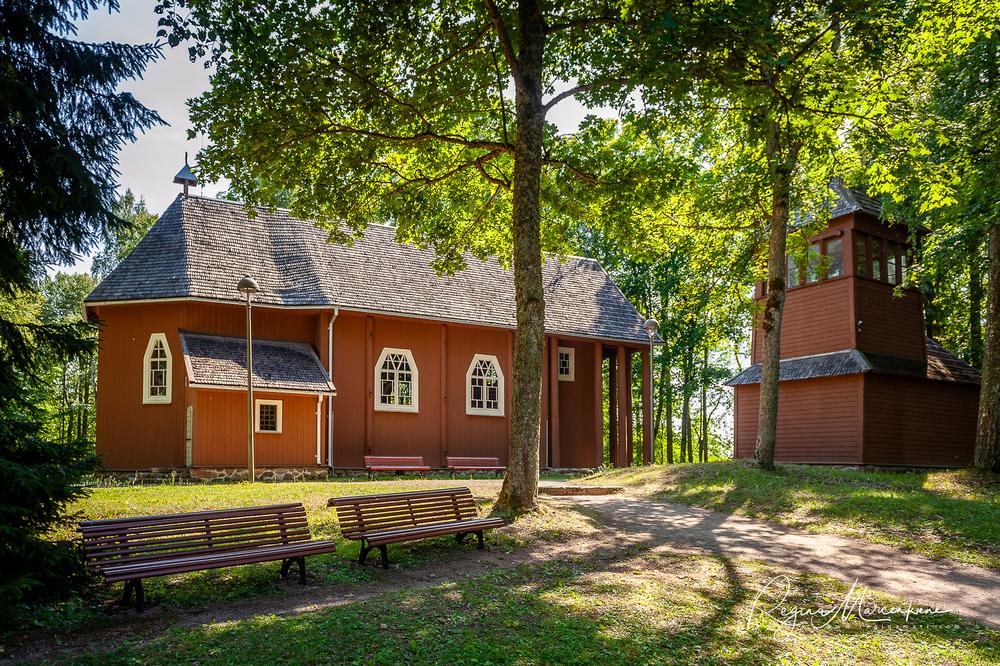 Stelmužės ąžuolas