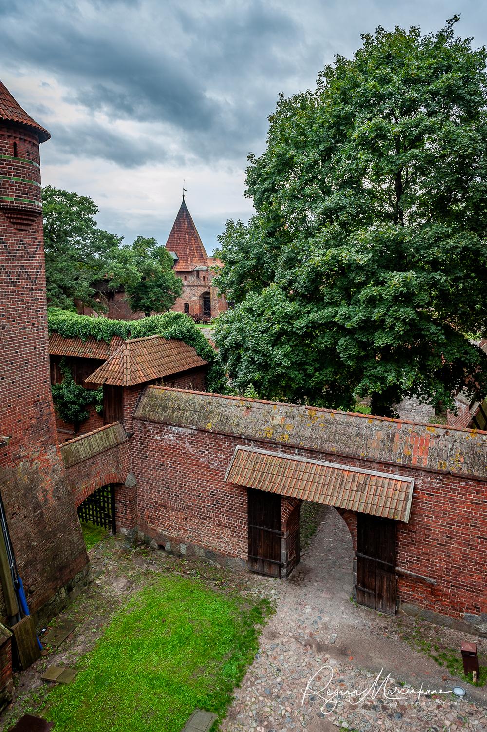 Zamek w Malborku