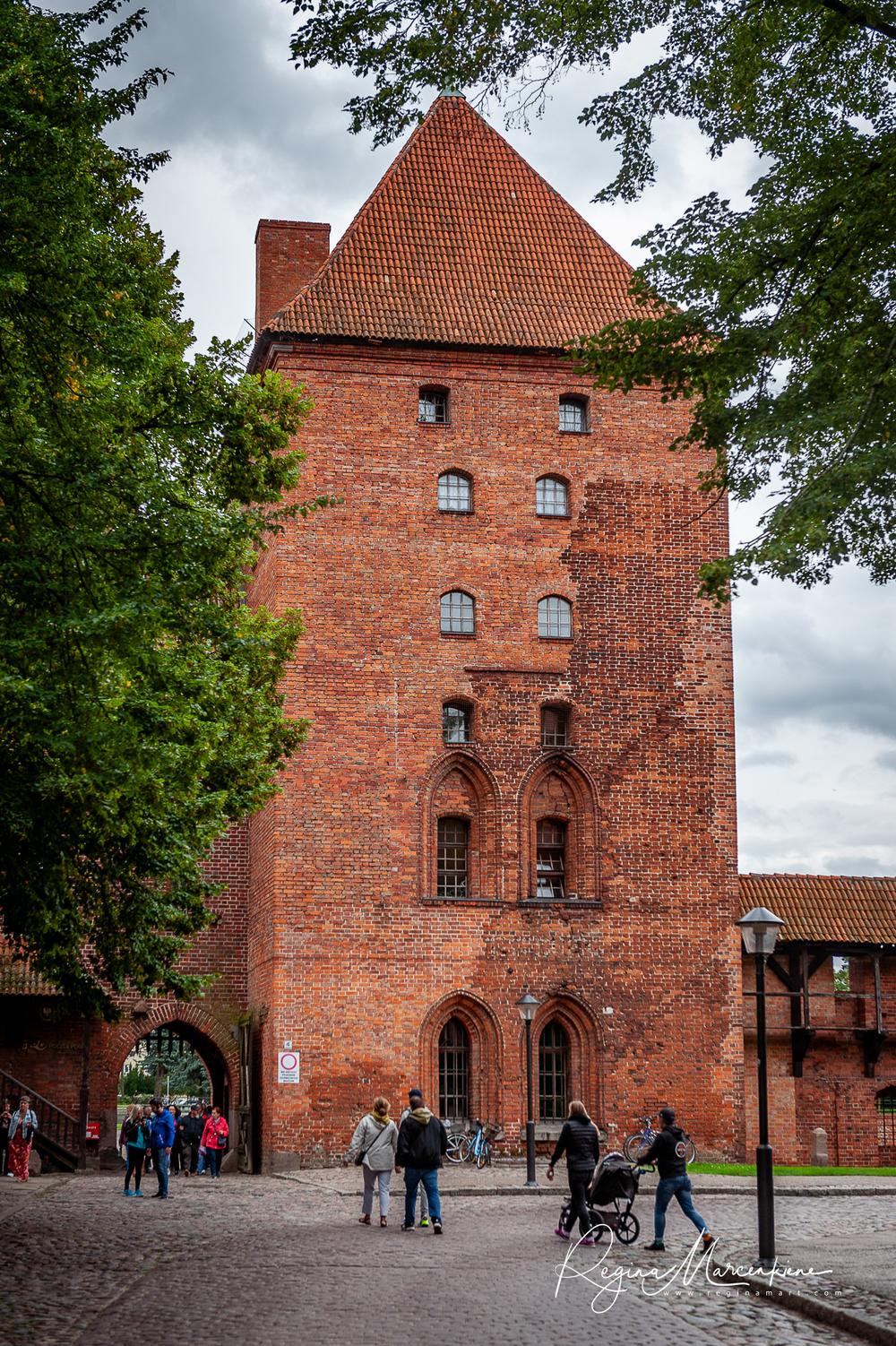 Zamek w Malborku