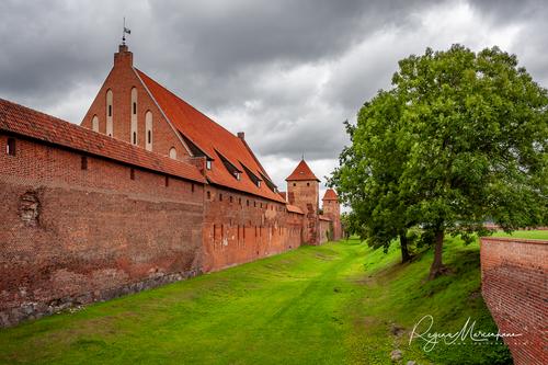 Zamek w Malborku