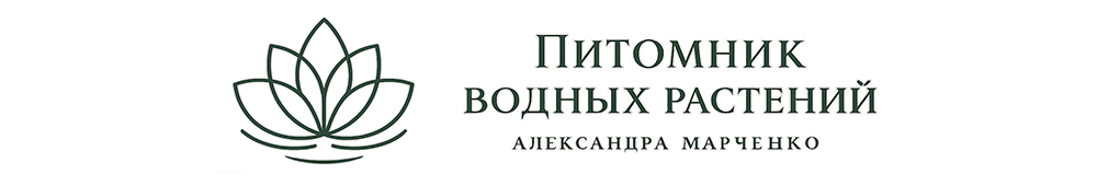 Питомник водных растений Александра Марченко