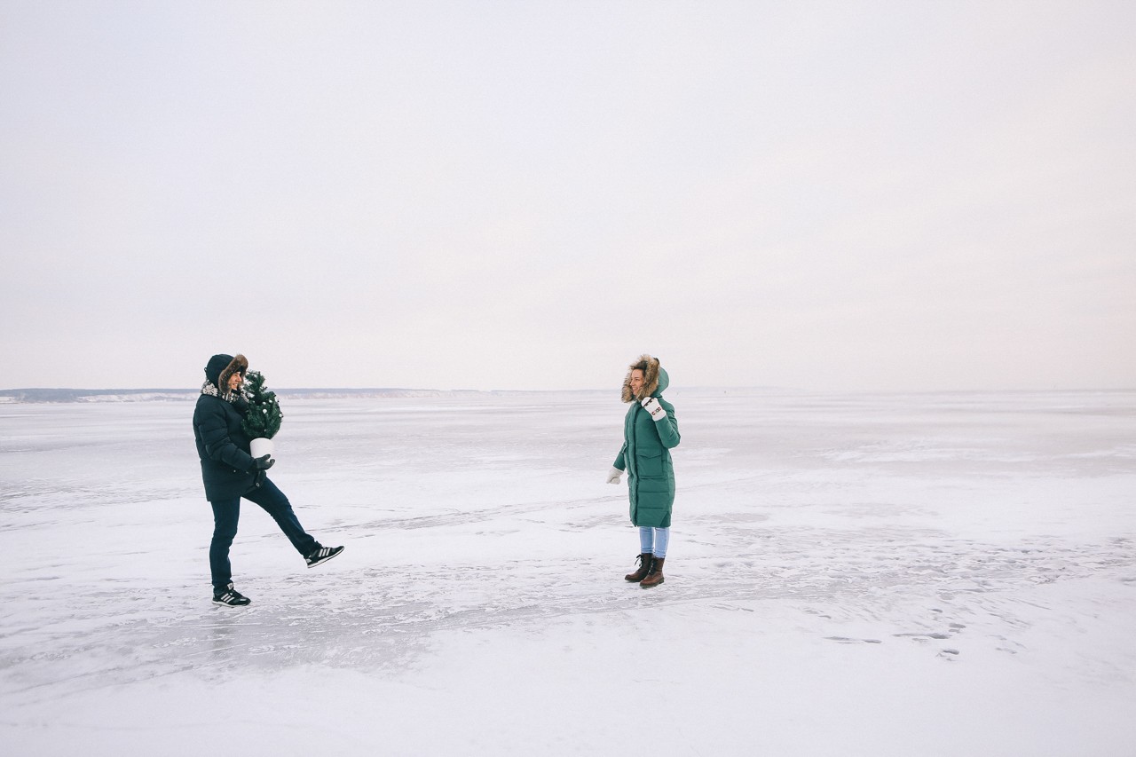 ёлки в городе У.