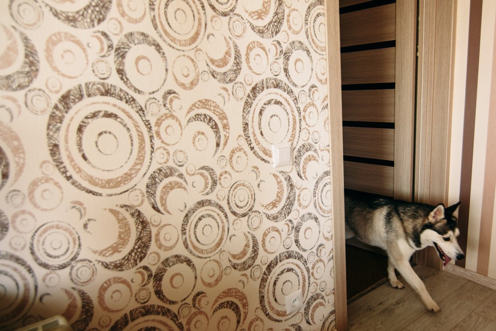 СашаМишаМаша