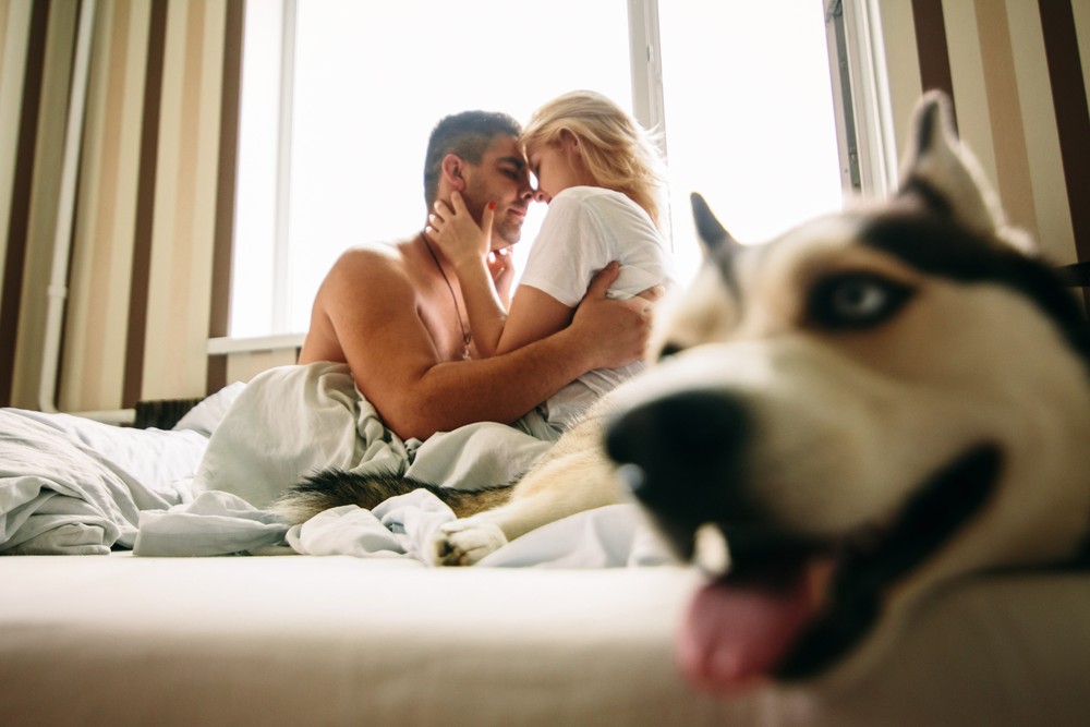 СашаМишаМаша