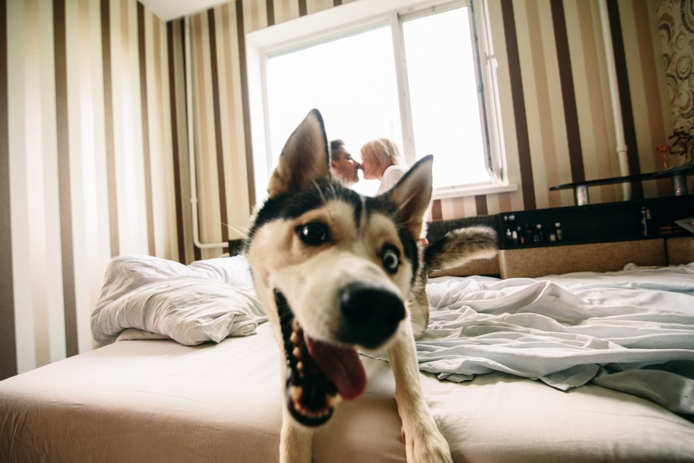 СашаМишаМаша