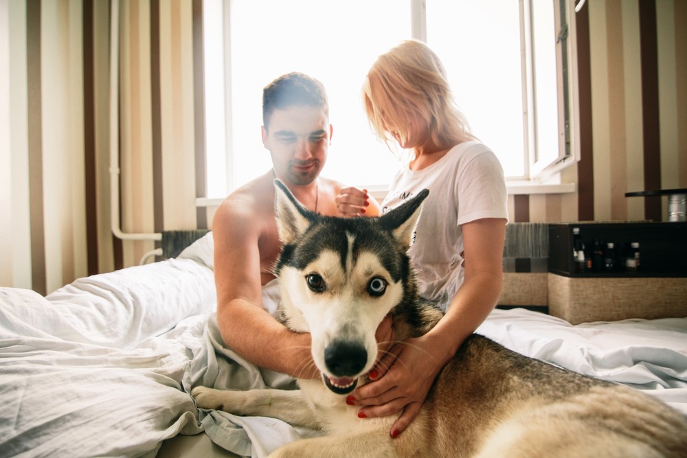 СашаМишаМаша