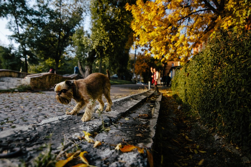 Как много слов мы тратим...