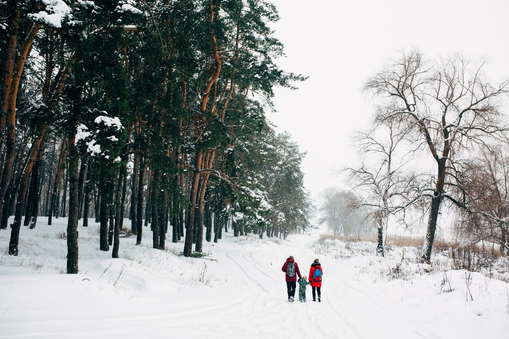 Семейная прогулка