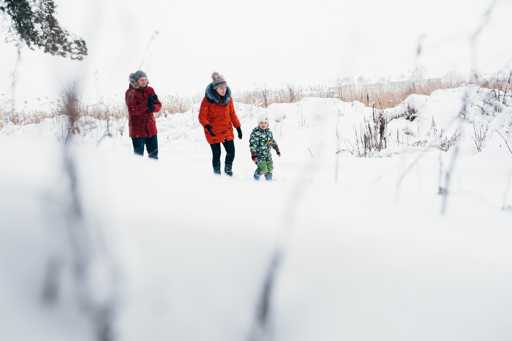 Семейная прогулка